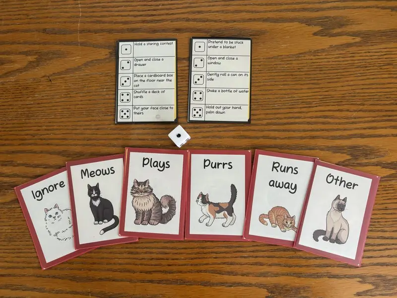 Guess What Your Cat Will Do, photo 1 of 2