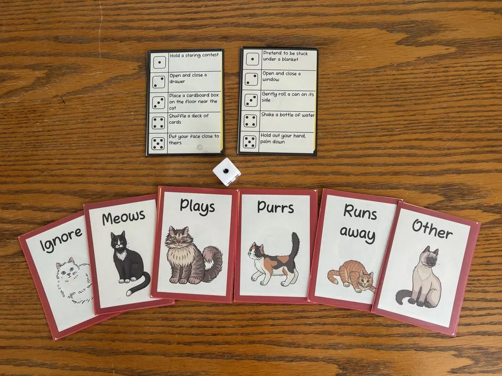 Guess What Your Cat Will Do, photo 1 of 2